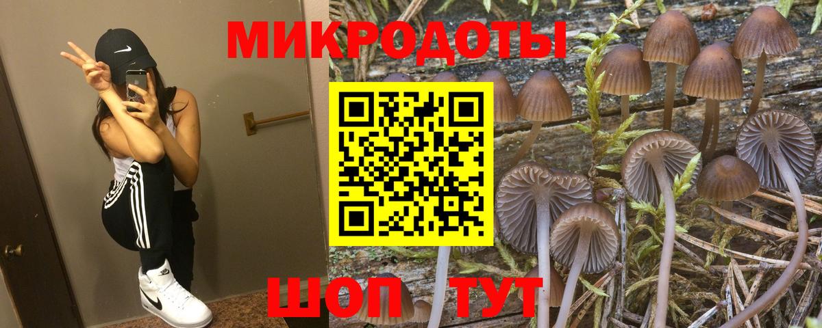 купить   Псилоцибиновые грибы мицелий  Вход с VPN  Кубинка 